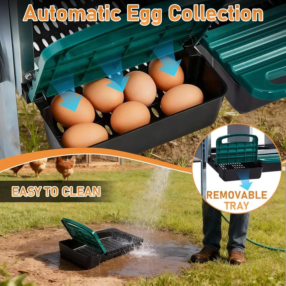 6-Compartment Metal Chicken Nesting Box with Roll-Away Egg Collection