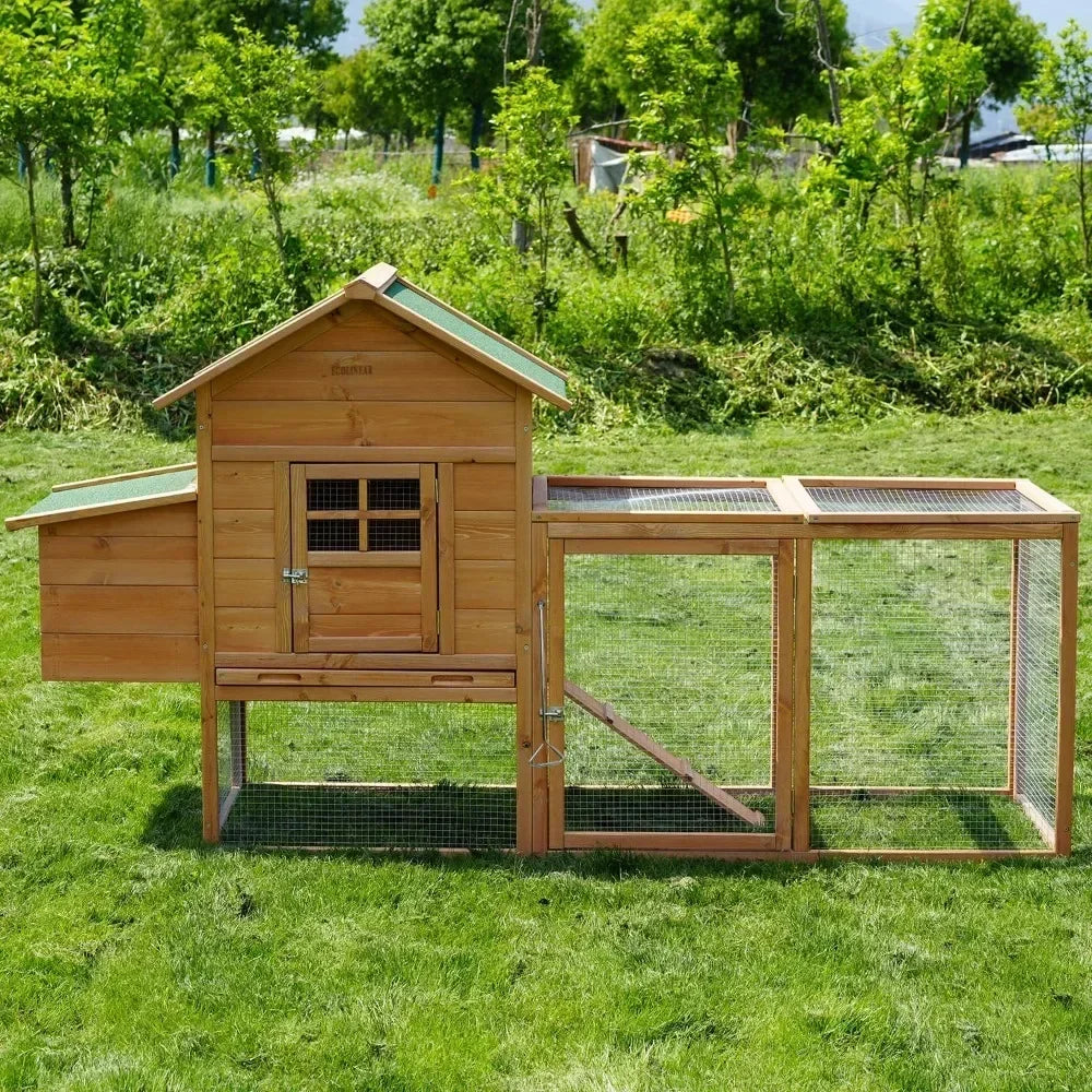 Waterproof Wooden Outdoor Hen House for 2–4 Chickens