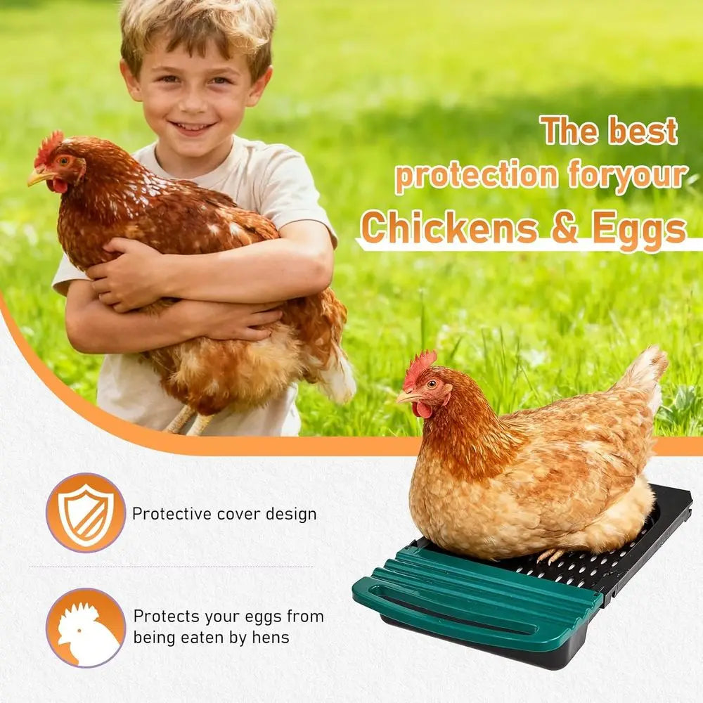 6-Compartment Metal Chicken Nesting Box with Roll-Away Egg Collection